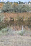 Kiowa Creek near Eads Colorado